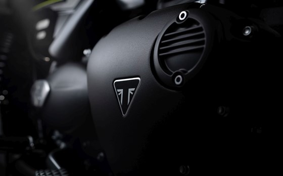 Verleihmotorrad Triumph Speed Twin 900 vom Händler Erne's Euromotos AG - Bild 6