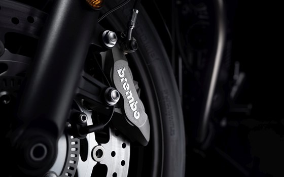 Verleihmotorrad Triumph Speed Twin 900 vom Händler Erne's Euromotos AG - Bild 7