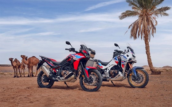 Verleihmotorrad Honda CRF1100L Africa Twin Adventure Sports DCT vom Händler Andreas Schmidinger e.U. - Bild 15 Verleihmotorrad Honda CRF1100L Africa Twin Adventure Sports DCT vom Händler Andreas Schmidinger e.U. - Bild 15