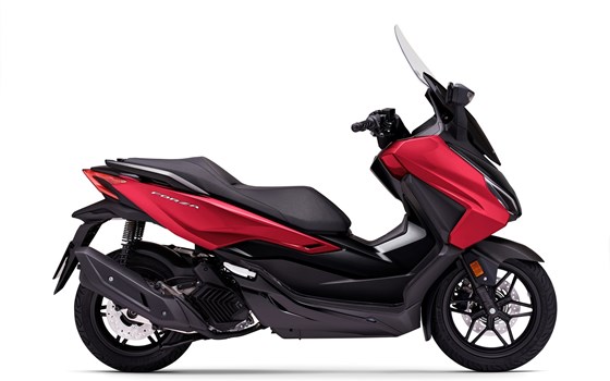 Verleihmotorrad Honda Forza 125 vom Händler Goos GmbH & Co. KG - Bild 3 Verleihmotorrad Honda Forza 125 vom Händler Goos GmbH & Co. KG - Bild 3