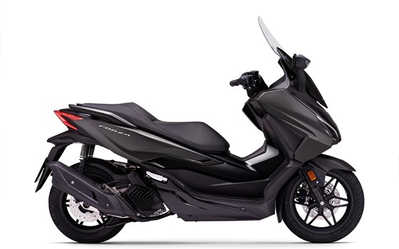 Verleihmotorrad Honda Forza 125 vom Händler Goos GmbH & Co. KG - Bild 7 Verleihmotorrad Honda Forza 125 vom Händler Goos GmbH & Co. KG - Bild 7