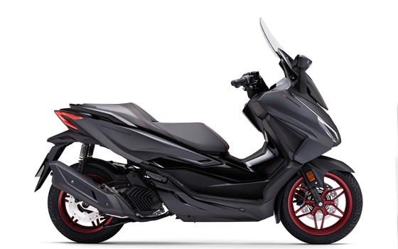 Verleihmotorrad Honda Forza 125 vom Händler Goos GmbH & Co. KG - Bild 9 Verleihmotorrad Honda Forza 125 vom Händler Goos GmbH & Co. KG - Bild 9