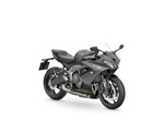 Verleihmotorrad Triumph Daytona 660 vom Händler Motorrad Dirnberger GmbH & Co. KG