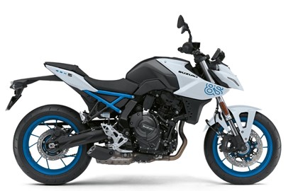 Leihmotorrad Suzuki GSX-8S