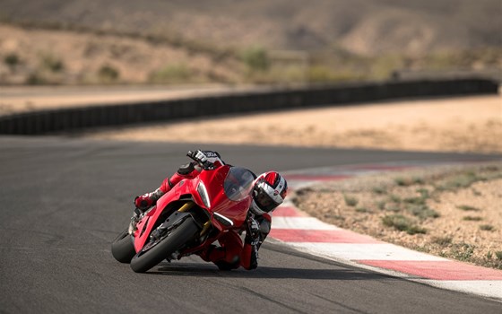 Verleihmotorrad Ducati Panigale V2 S vom Händler Alex’s Bikeshop - Bild 7 Verleihmotorrad Ducati Panigale V2 S vom Händler Alex’s Bikeshop - Bild 7
