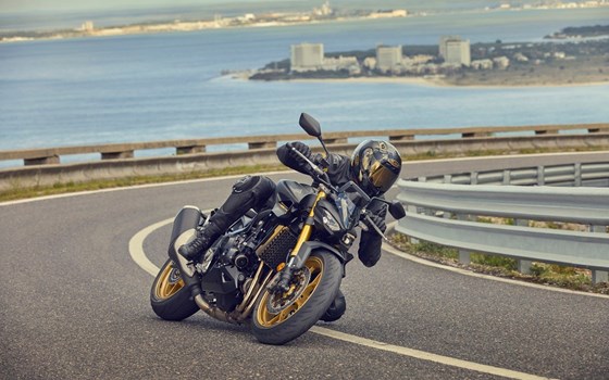 Verleihmotorrad Honda CB1000 Hornet SP vom Händler Tempo-Zweirad-Treff GmbH - Bild 12 Verleihmotorrad Honda CB1000 Hornet SP vom Händler Tempo-Zweirad-Treff GmbH - Bild 12