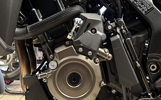 Verleihmotorrad Suzuki V-Strom 800 vom Händler Motorrad Matthies GmbH - Bild 10