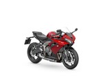 Verleihmotorrad Triumph Daytona 660 vom Händler Zweirad-Center Nuber GmbH