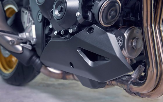 Verleihmotorrad Honda CB1000 Hornet vom Händler Bruhy Kraftfahrzeug GmbH - Bild 8