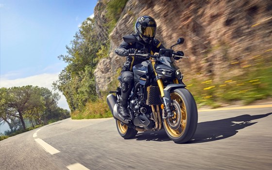 Verleihmotorrad Honda CB1000 Hornet SP vom Händler Zweirad Brockmeyer GmbH - Bild 15