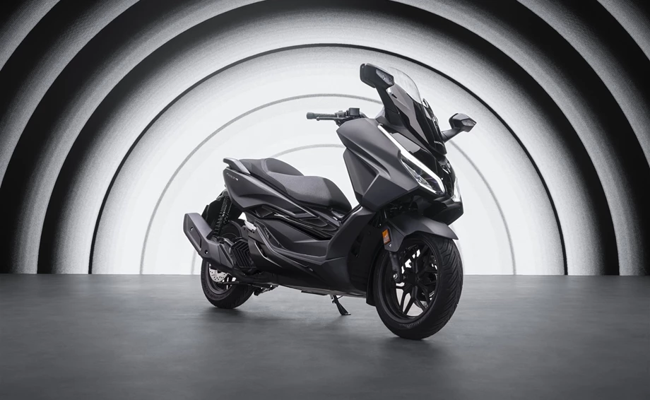 Verleihmotorrad Honda Forza 125 vom Händler Zweirad Brockmeyer GmbH Bild 12: Verleihmotorrad Honda Forza 125 vom Händler Zweirad Brockmeyer GmbH