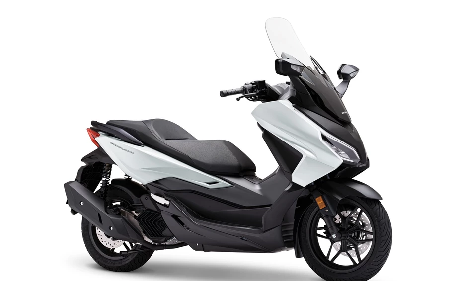 Verleihmotorrad Honda Forza 125 vom Händler Zweirad Brockmeyer GmbH Bild 4: Verleihmotorrad Honda Forza 125 vom Händler Zweirad Brockmeyer GmbH