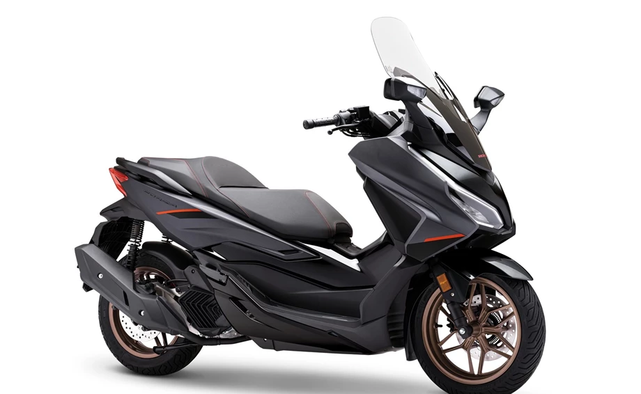 Verleihmotorrad Honda Forza 125 vom Händler Zweirad Brockmeyer GmbH Bild 6: Verleihmotorrad Honda Forza 125 vom Händler Zweirad Brockmeyer GmbH