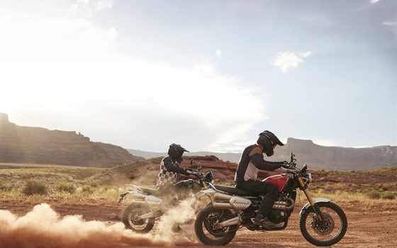 Verleihmotorrad Triumph Scrambler 1200 XE vom Händler BAHROS BIKE BUDE GmbH, TRIUMPH Berlin Süd, Can-Am Berlin - Bild 6 Verleihmotorrad Triumph Scrambler 1200 XE vom Händler BAHROS BIKE BUDE GmbH, TRIUMPH Berlin Süd, Can-Am Berlin - Bild 6
