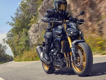 Leihmotorrad Honda CB1000 Hornet Leihmotorrad Honda CB1000 Hornet
