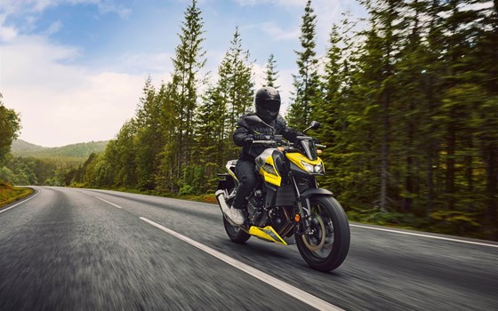 Verleihmotorrad Honda CB750 Hornet E-Clutch vom Händler Tempo-Zweirad-Treff GmbH - Bild 12
