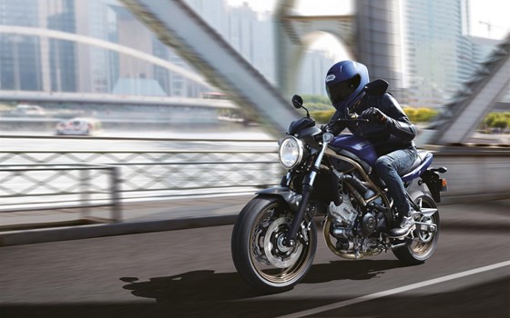 Verleihmotorrad Suzuki SV650 vom Händler Stärker-Profil GmbH - Bild 5 Verleihmotorrad Suzuki SV650 vom Händler Stärker-Profil GmbH - Bild 5