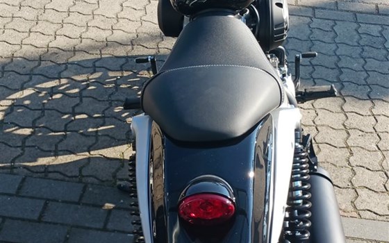 Verleihmotorrad Benda Chinchilla 125 vom Händler Autohaus Fritze GmbH & Co.KG   - Bild 3 Verleihmotorrad Benda Chinchilla 125 vom Händler Autohaus Fritze GmbH & Co.KG   - Bild 3
