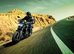 Verleihmotorrad Kawasaki Z650 vom Händler Motorrad Center Nord