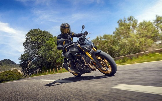 Verleihmotorrad Honda CB1000 Hornet SP vom Händler Zweirad Unterberger GmbH - Bild 1 Verleihmotorrad Honda CB1000 Hornet SP vom Händler Zweirad Unterberger GmbH - Bild 1