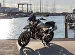Verleihmotorrad Moto Guzzi V85 Strada vom Händler Motorrad Hofmann Monsheim