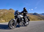 Verleihmotorrad Moto Guzzi Stelvio vom Händler Motorrad Hofmann Monsheim