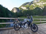Verleihmotorrad Moto Guzzi Stelvio vom Händler Motorrad Hofmann Monsheim