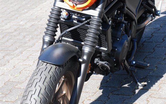 Verleihmotorrad Honda CMX500 Rebel S vom Händler Motorrad Kröber - Bild 15 Verleihmotorrad Honda CMX500 Rebel S vom Händler Motorrad Kröber - Bild 15