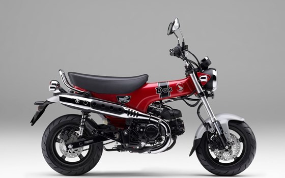 Verleihmotorrad Honda Dax 125 vom Händler Motorradhaus Ebert e.K. - Bild 1 Verleihmotorrad Honda Dax 125 vom Händler Motorradhaus Ebert e.K. - Bild 1