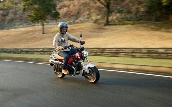 Verleihmotorrad Honda Dax 125 vom Händler Motorradhaus Ebert e.K. - Bild 7 Verleihmotorrad Honda Dax 125 vom Händler Motorradhaus Ebert e.K. - Bild 7