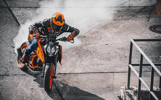 Verleihmotorrad KTM 390 Duke vom Händler AUTO- UND MOTORRADHAUS BORCHARDT GmbH - Bild 3 Verleihmotorrad KTM 390 Duke vom Händler AUTO- UND MOTORRADHAUS BORCHARDT GmbH - Bild 3
