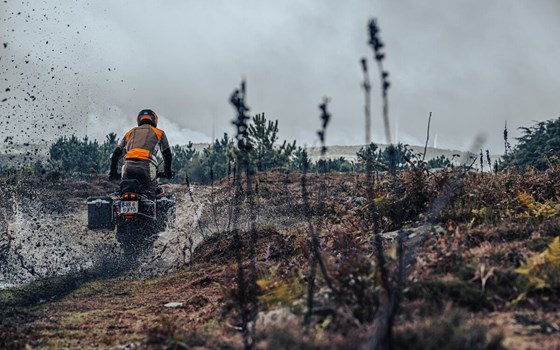 Verleihmotorrad KTM 890 Adventure vom Händler AUTO- UND MOTORRADHAUS BORCHARDT GmbH - Bild 11 Verleihmotorrad KTM 890 Adventure vom Händler AUTO- UND MOTORRADHAUS BORCHARDT GmbH - Bild 11