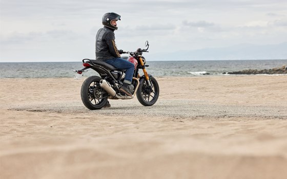 Verleihmotorrad Triumph Speed 400 vom Händler AUTO- UND MOTORRADHAUS BORCHARDT GmbH - Bild 25 Verleihmotorrad Triumph Speed 400 vom Händler AUTO- UND MOTORRADHAUS BORCHARDT GmbH - Bild 25