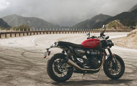 Verleihmotorrad Triumph Speed Twin 1200 vom Händler AUTO- UND MOTORRADHAUS BORCHARDT GmbH - Bild 1 Verleihmotorrad Triumph Speed Twin 1200 vom Händler AUTO- UND MOTORRADHAUS BORCHARDT GmbH - Bild 1