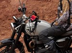 Verleihmotorrad Triumph Scrambler 1200 X vom Händler Motorrad Dirnberger GmbH & Co. KG