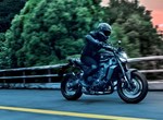 Verleihmotorrad Yamaha MT-09 Y-AMT vom Händler Motorrad Dirnberger GmbH & Co. KG