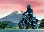 Verleihmotorrad Yamaha MT-09 Y-AMT vom Händler Motorrad Dirnberger GmbH & Co. KG