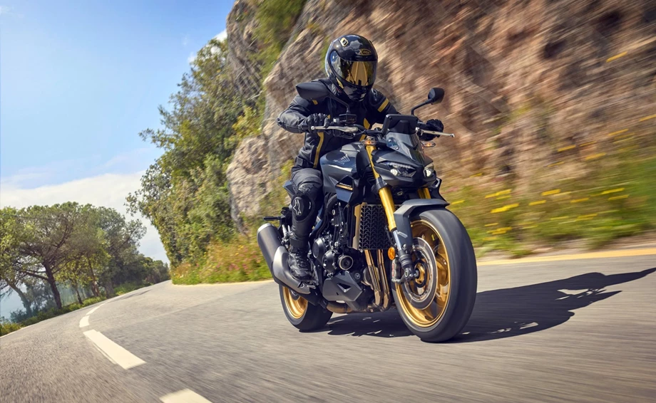 Verleihmotorrad Honda CB1000 Hornet SP vom Händler Zweirad Gebhardt GmbH Bild 15: Verleihmotorrad Honda CB1000 Hornet SP vom Händler Zweirad Gebhardt GmbH