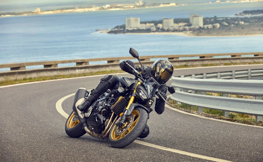 Verleihmotorrad Honda CB1000 Hornet SP vom Händler Zweirad Gebhardt GmbH Bild 2: Verleihmotorrad Honda CB1000 Hornet SP vom Händler Zweirad Gebhardt GmbH