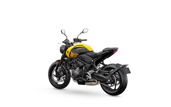 Verleihmotorrad Triumph Trident 660 vom Händler Motorrad-Shop Kuhnert - Image 19