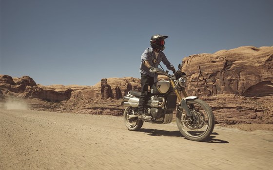 Verleihmotorrad Triumph Scrambler 1200 XE vom Händler Motorrad-Shop Kuhnert - Bild 17