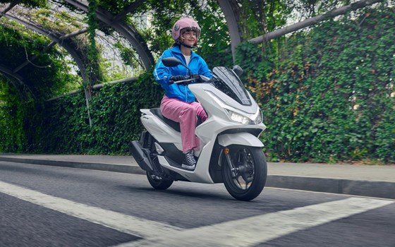 Verleihmotorrad Honda PCX125 vom Händler GST Berlin Dreilinden GmbH - Bild 2 Verleihmotorrad Honda PCX125 vom Händler GST Berlin Dreilinden GmbH - Bild 2