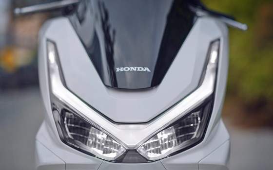 Verleihmotorrad Honda PCX125 vom Händler GST Berlin Dreilinden GmbH - Bild 7 Verleihmotorrad Honda PCX125 vom Händler GST Berlin Dreilinden GmbH - Bild 7