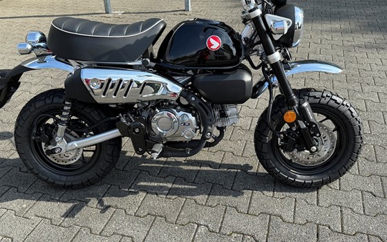 Verleihmotorrad Honda Monkey 125 vom Händler Motorrad Kröber - Bild 1 Verleihmotorrad Honda Monkey 125 vom Händler Motorrad Kröber - Bild 1