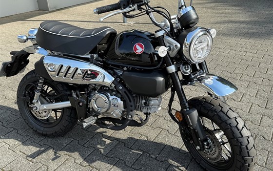 Verleihmotorrad Honda Monkey 125 vom Händler Motorrad Kröber - Bild 3 Verleihmotorrad Honda Monkey 125 vom Händler Motorrad Kröber - Bild 3