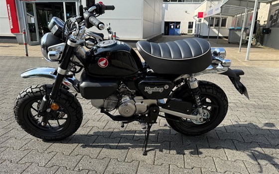 Verleihmotorrad Honda Monkey 125 vom Händler Motorrad Kröber - Bild 7 Verleihmotorrad Honda Monkey 125 vom Händler Motorrad Kröber - Bild 7