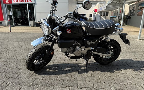 Verleihmotorrad Honda Monkey 125 vom Händler Motorrad Kröber - Bild 8 Verleihmotorrad Honda Monkey 125 vom Händler Motorrad Kröber - Bild 8