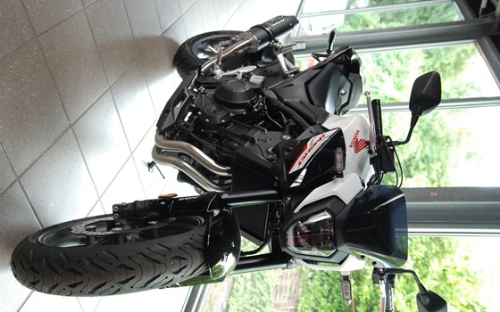 Verleihmotorrad Honda CRF300 vom Händler Motorrad Kröber - Bild 6 Verleihmotorrad Honda CRF300 vom Händler Motorrad Kröber - Bild 6