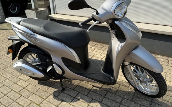 Verleihmotorrad Honda SH Mode 125 vom Händler Motorrad Kröber - Bild 1 Verleihmotorrad Honda SH Mode 125 vom Händler Motorrad Kröber - Bild 1