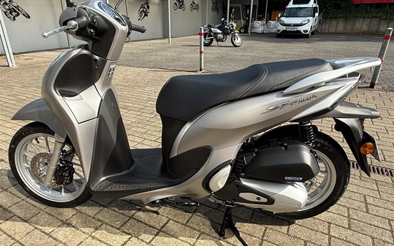 Verleihmotorrad Honda SH Mode 125 vom Händler Motorrad Kröber - Bild 5 Verleihmotorrad Honda SH Mode 125 vom Händler Motorrad Kröber - Bild 5